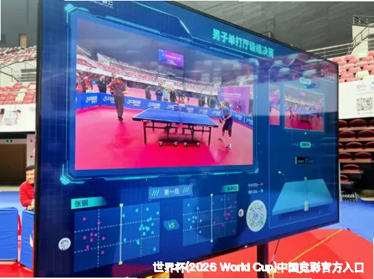 历史命中率展示