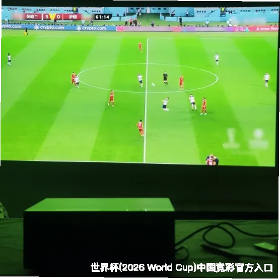 使用方法与注意事项